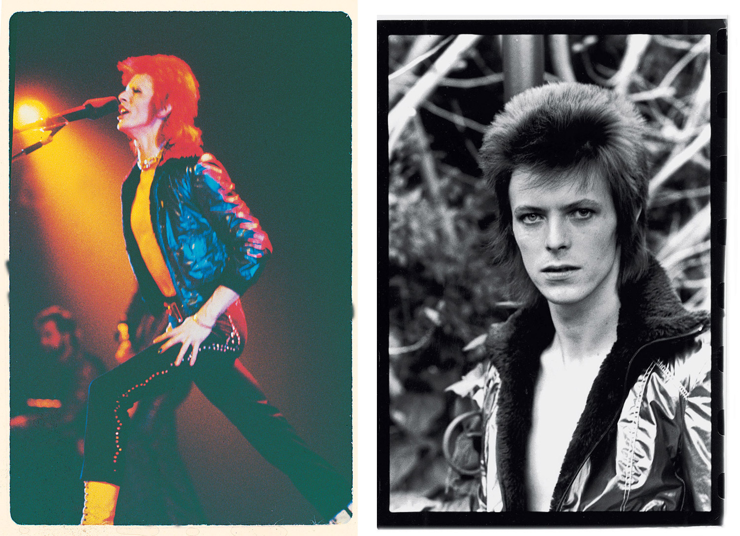 David Bowie x ROXY Collection 